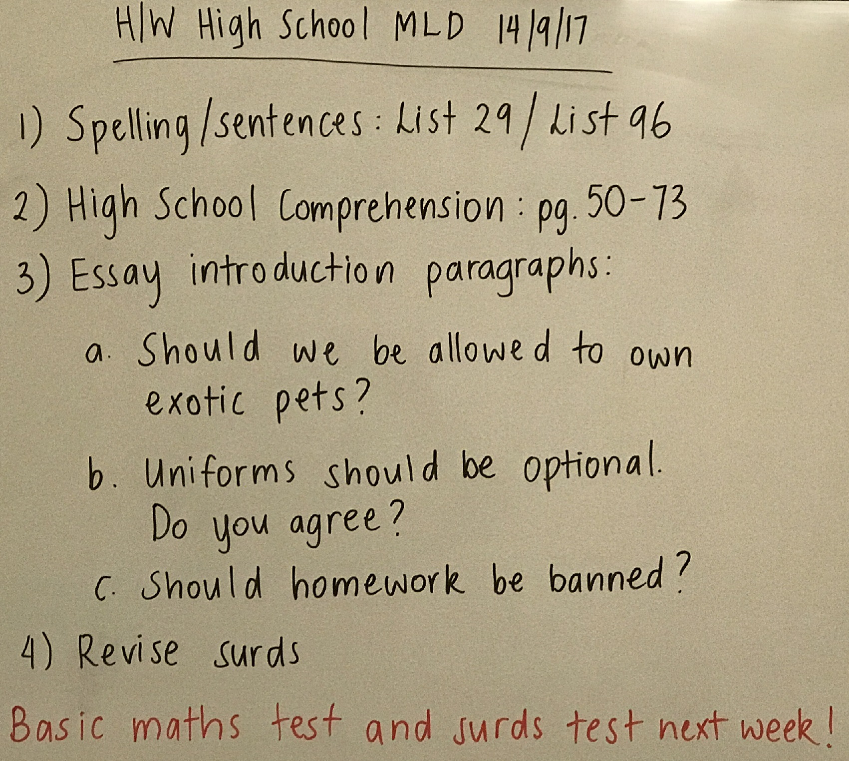High school hamlet essays