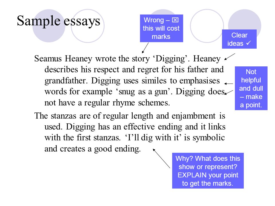 Digging by seamus heaney essay