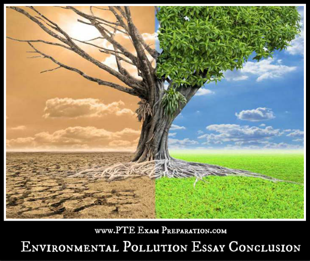 Essay on Environmental Pollution: 7 Selected Essays on Environmental Pollution