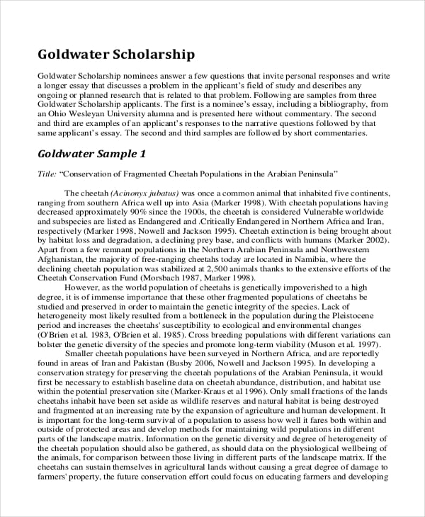 Essay for scholarship consideration