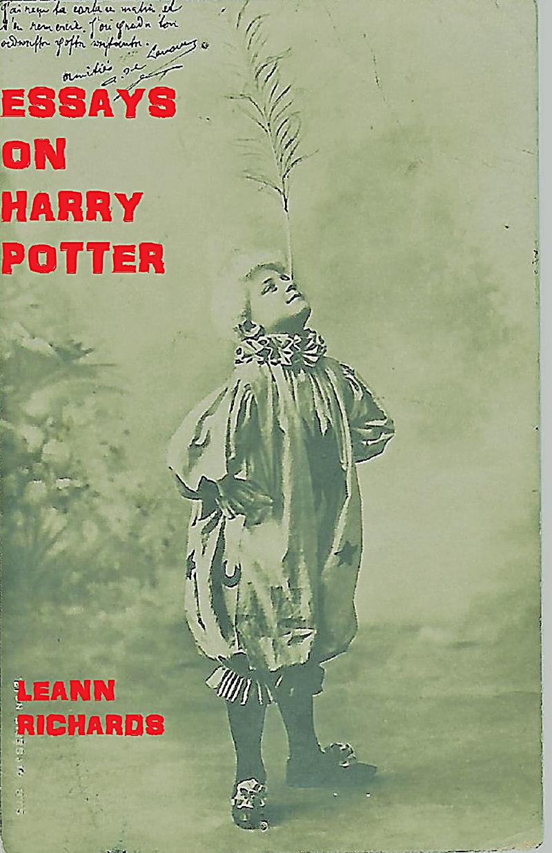 Harry potter essays