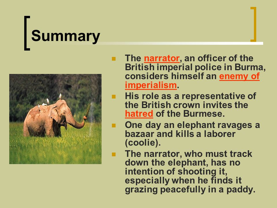 Essay of elephant