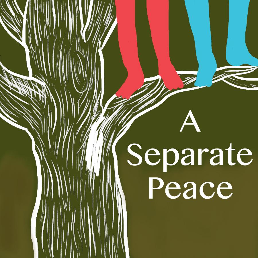 Essays on a separate peace