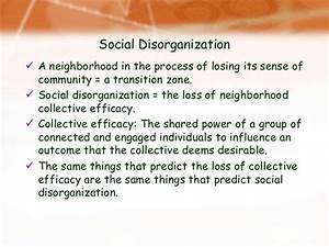 Social disorganization theory essay