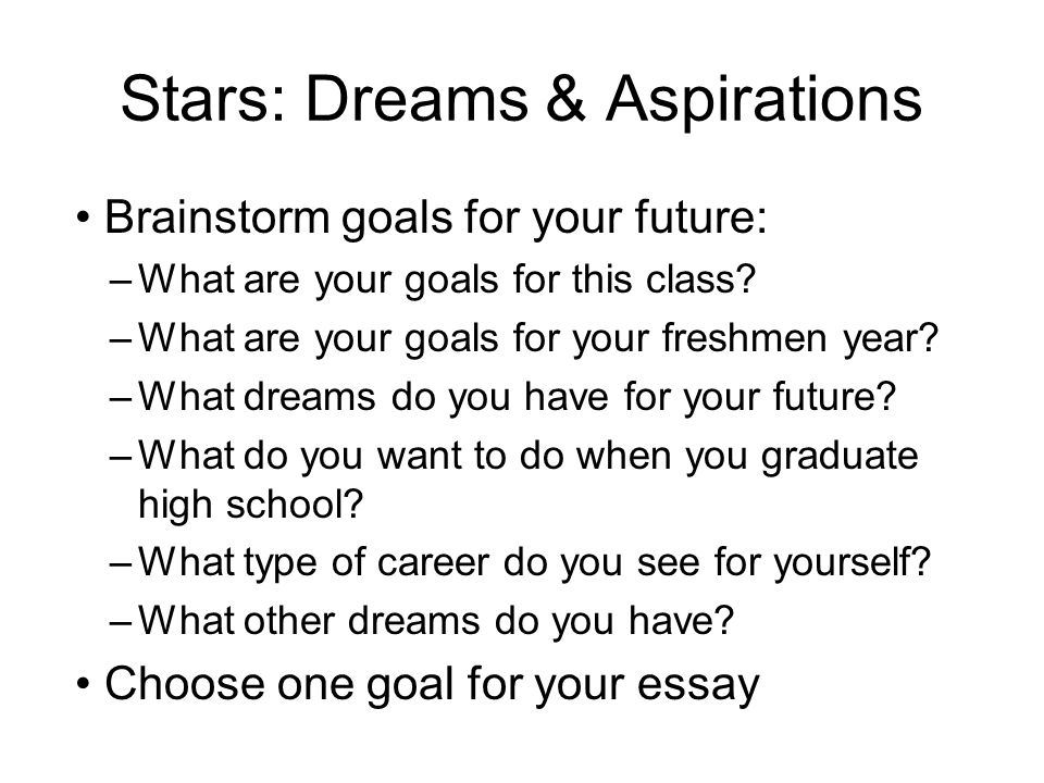 Essays on goals for the future